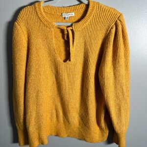 Frye & Co Women‎ Sweater- 1X